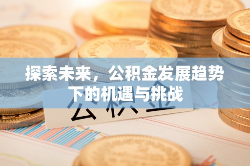天宁探索未来，公积金发展趋势下的机遇与挑战