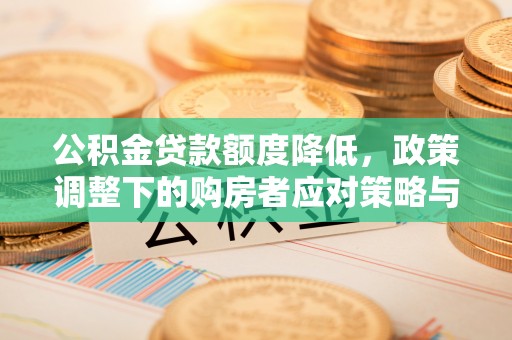 天宁公积金贷款额度降低，政策调整下的购房者应对策略与未来趋势