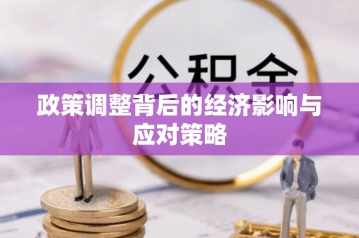天宁政策调整背后的经济影响与应对策略