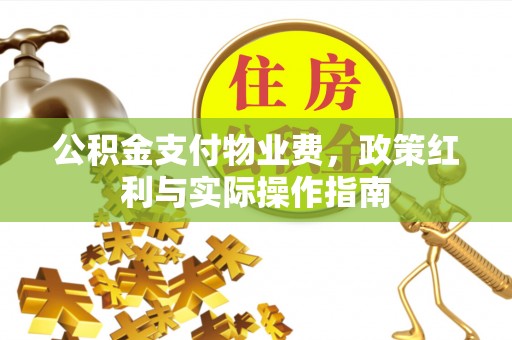 天宁公积金支付物业费，政策红利与实际操作指南